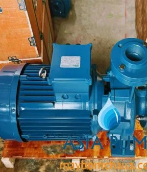 Bơm trục ngang Maro CM công nghiệp giá rẻ kiểu dáng Pentax Italy