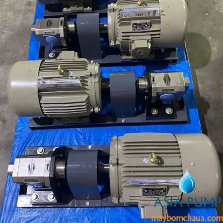 Hướng dẫn sử dụng bơm bánh răng Rotofluid FT-FTSS
